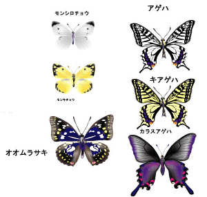 学習教材イメージ