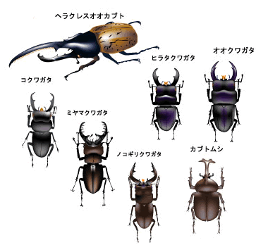 学習教材イメージ